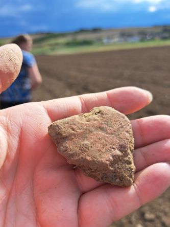Beim Besuch in Schletz entdecktes Fragment eines jungsteinzeitlichen Gefäßes