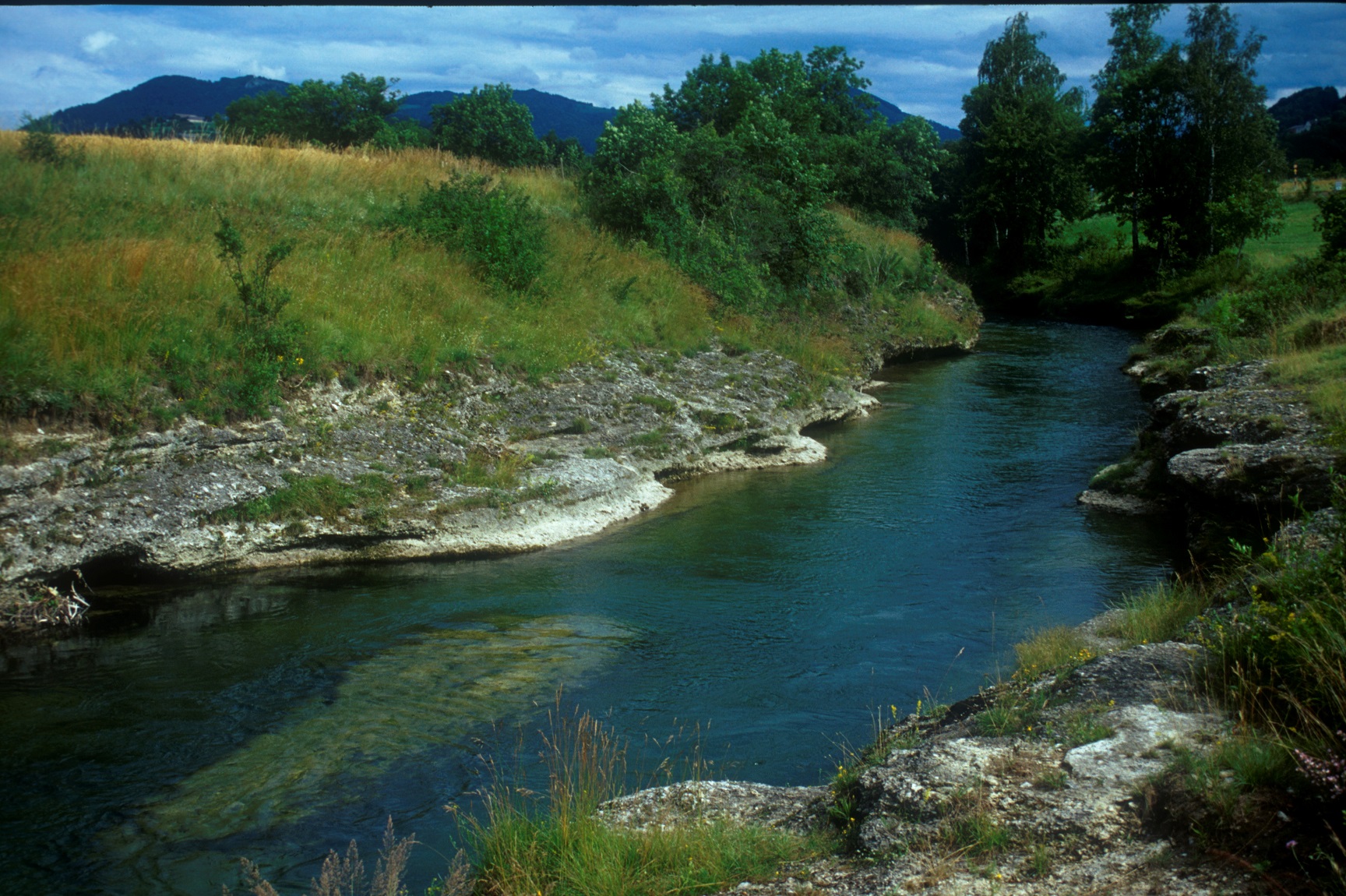 © Biodiversität Austria Neuer National Hub für Biodiversität und Wasser