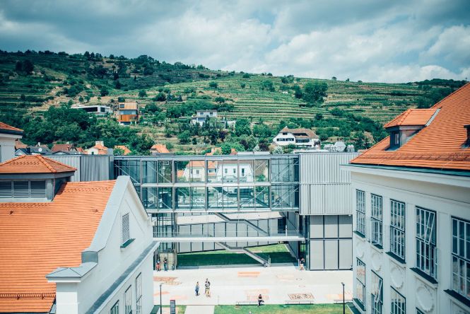 Blick auf den Campus Krems und die Weinberge