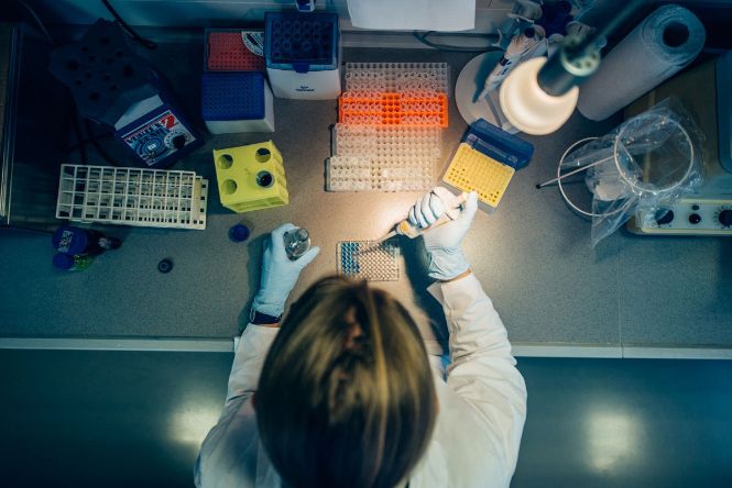 Research at Biomedical Laboratory