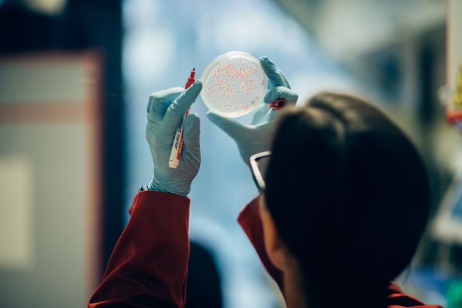 Research at Biomedical Laboratory