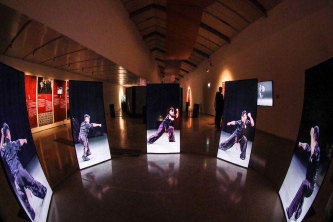 Kung Fu Motion EPFL 2018