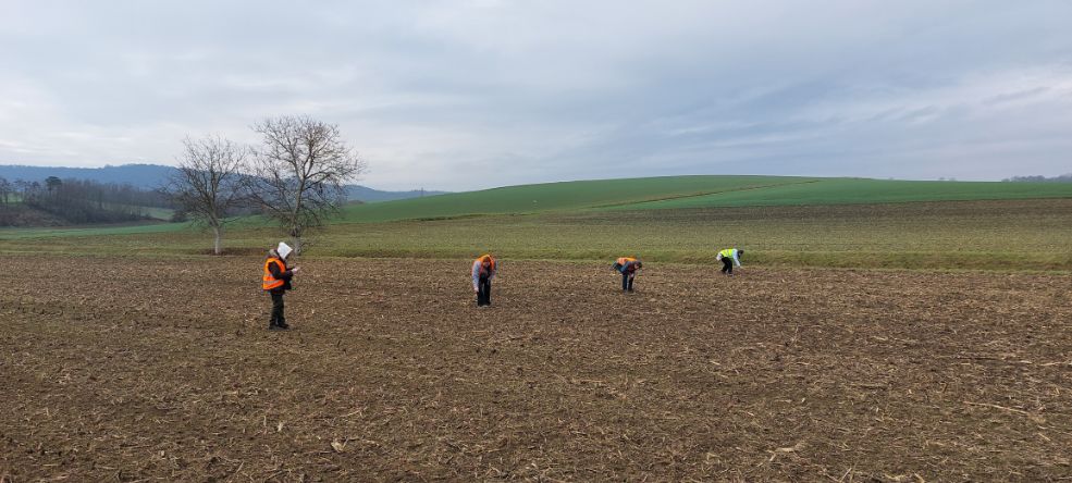 Linewalking in Schletz