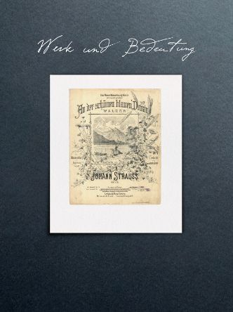 Bild 7 - AN DER SCHÖNEN BLAUEN DONAU