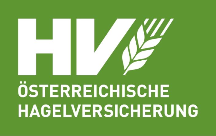 Österreichische Transformationsforum