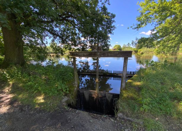 Exkursion Waldviertler Teiche