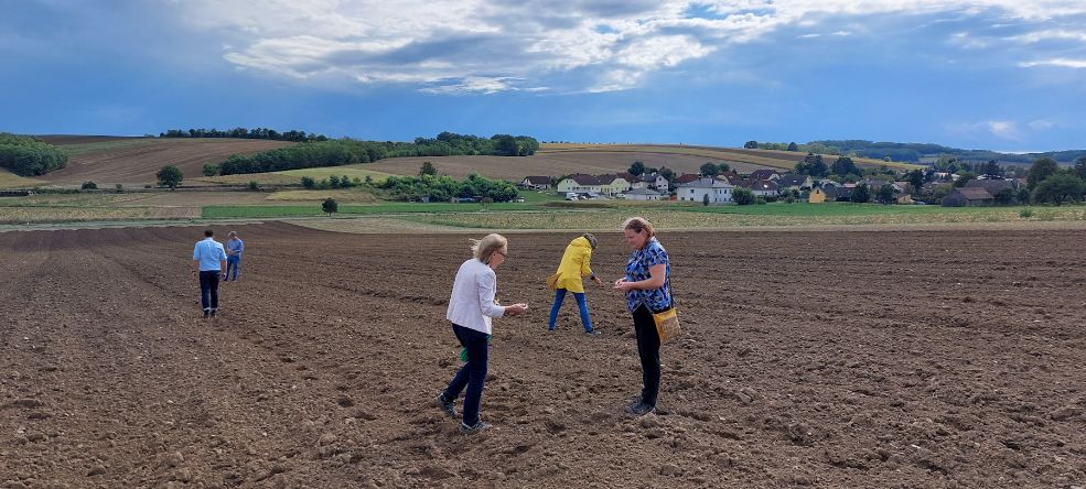 Delegation des GFF NÖ zu Besuch auf der Fundstelle Asparn/Schletz