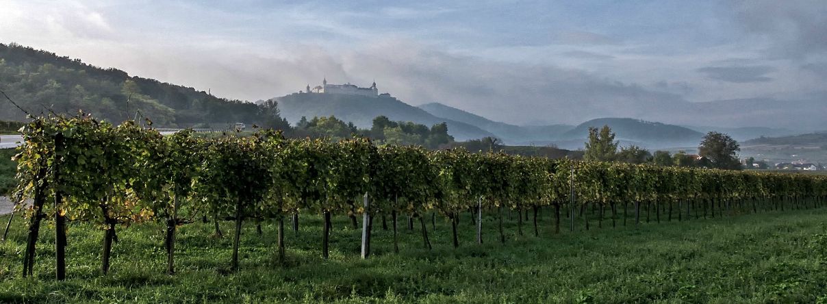 Blick auf Stift Göttweig