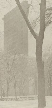 G_Stieglitz