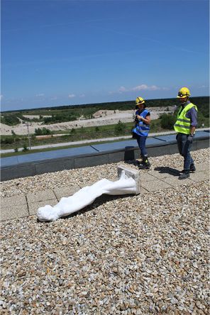 Recovery of Cultural Property