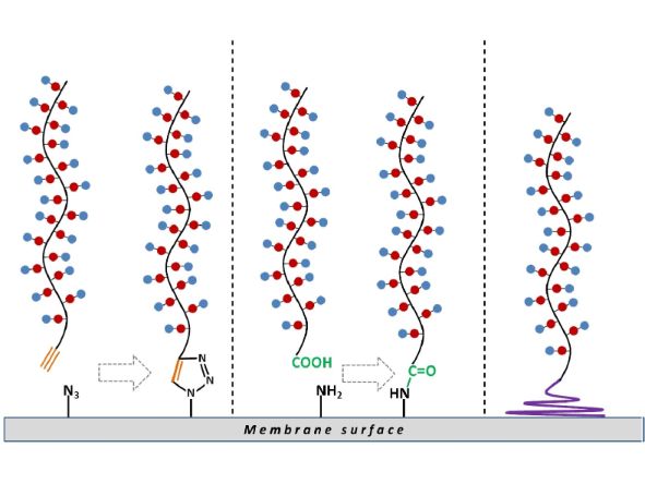 Membrane Coating