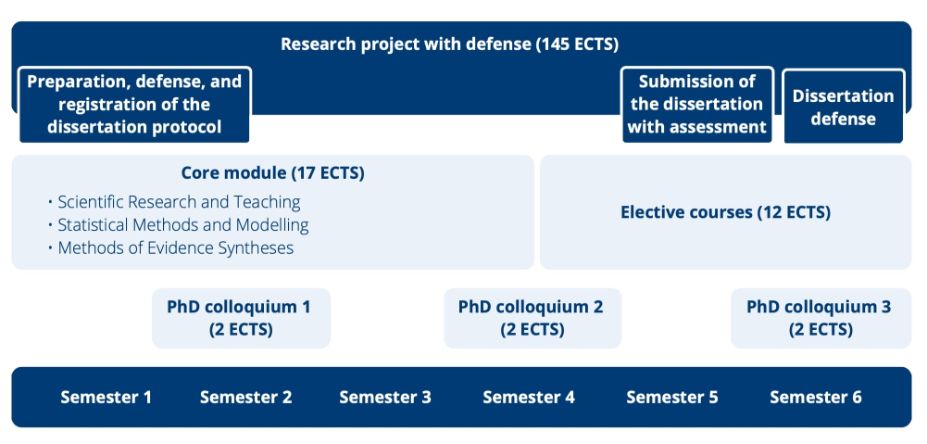 Graphic representation of the structure of the PhD program