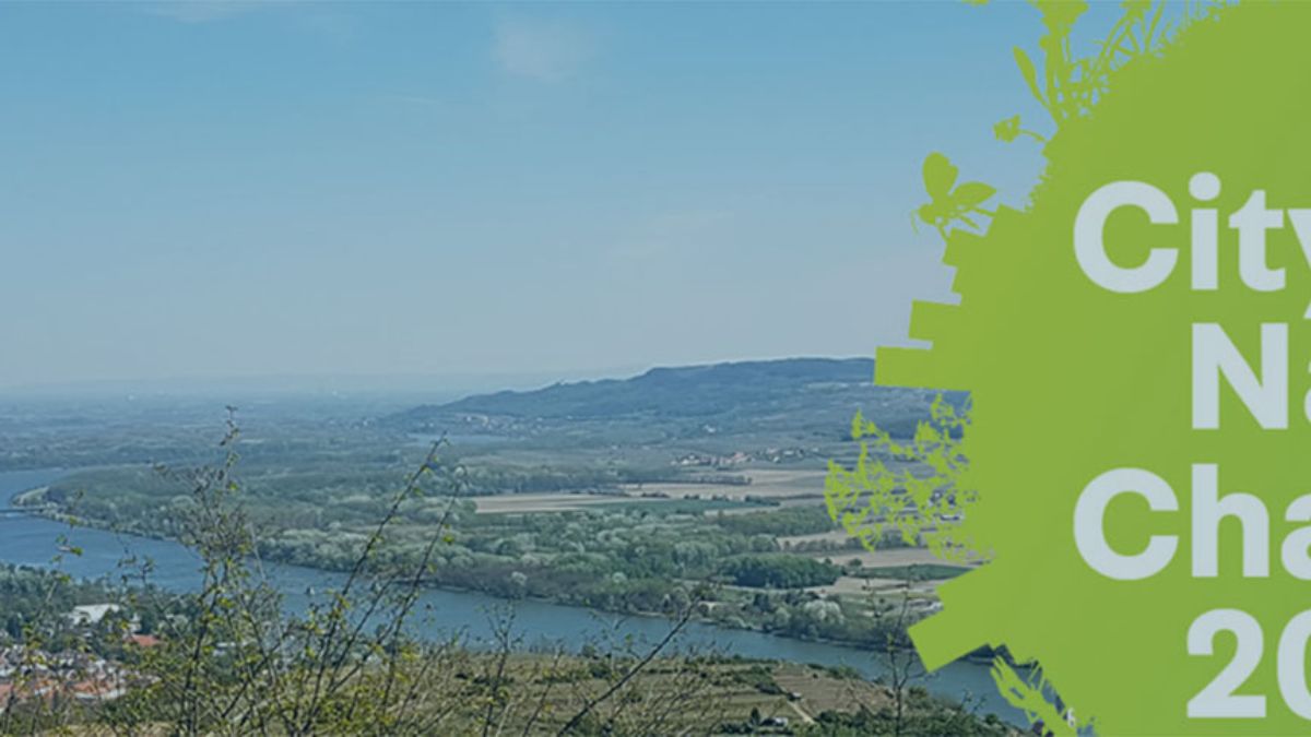 City Nature Challenge 2021 In Krems Wachau Donau Universitat Krems