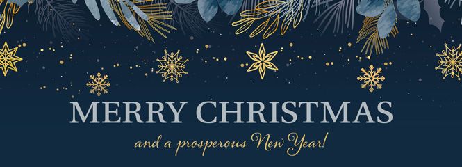 Merry Christmas and a happy New Year!