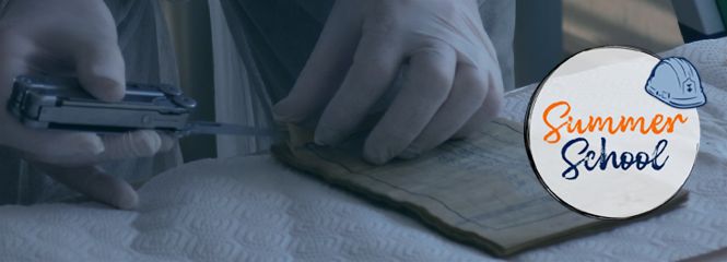 Alternativ-Text
