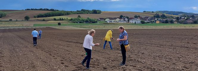 Citizen Scientists unterstützen Projekt United by Crisis