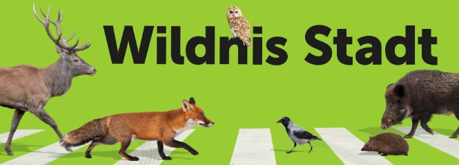 Exhibition Urban Wilderness