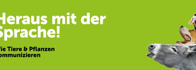 Plakat für Ausstellung, rechts sind zu sehen: Esel, Hund, Tiger, Papagei und eine Schlange, alle mit offenem Maul