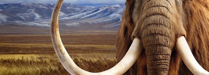 Steppenlandschaft mit Mammut