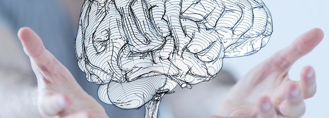 Universitätslehrgang Neurophysiotherapie