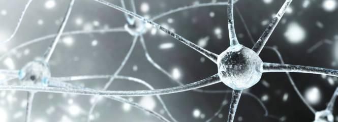 Imagebild Nervenzellen - Zentrum für Neurorehabilitation