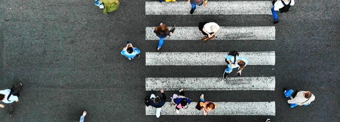 Imagebild des Weiterbildungsprogramms: Zebrastreifen mit Menschen aus der Vogelperspektive