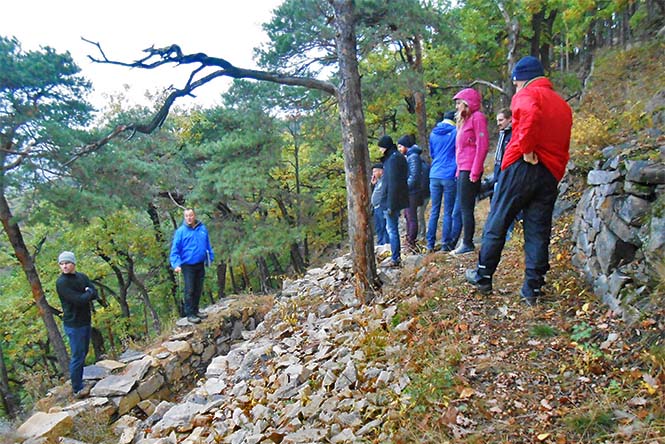 "Kulturgüterschutz, MSc" Start5