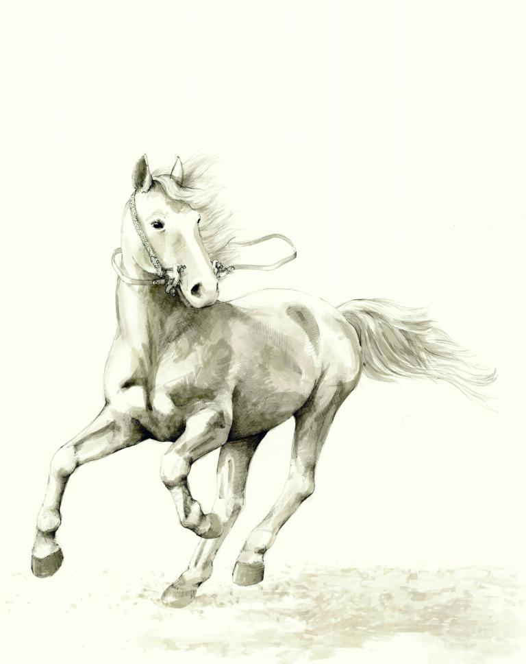 gezeichnete Darstellung eines Pferde, das von rechts nach links läuft, wobei es mit dem Kopf nach rechts schaut. es trägt ein zaumzeug mit einer knebeltrense, die aufgrund von archäologischen funden rekonstruiert wurde.