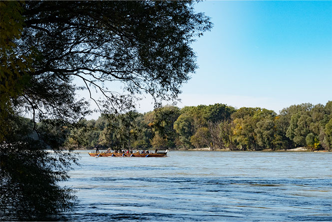 ReConnecting Cruise 2024