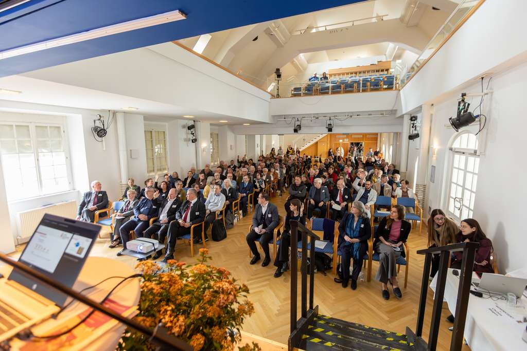 Museumsmanagement Niederösterreich, Mike Bauer