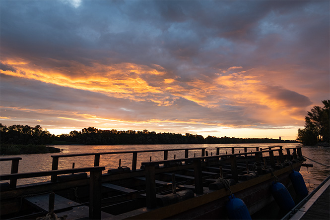 ReConnecting Cruise 2024