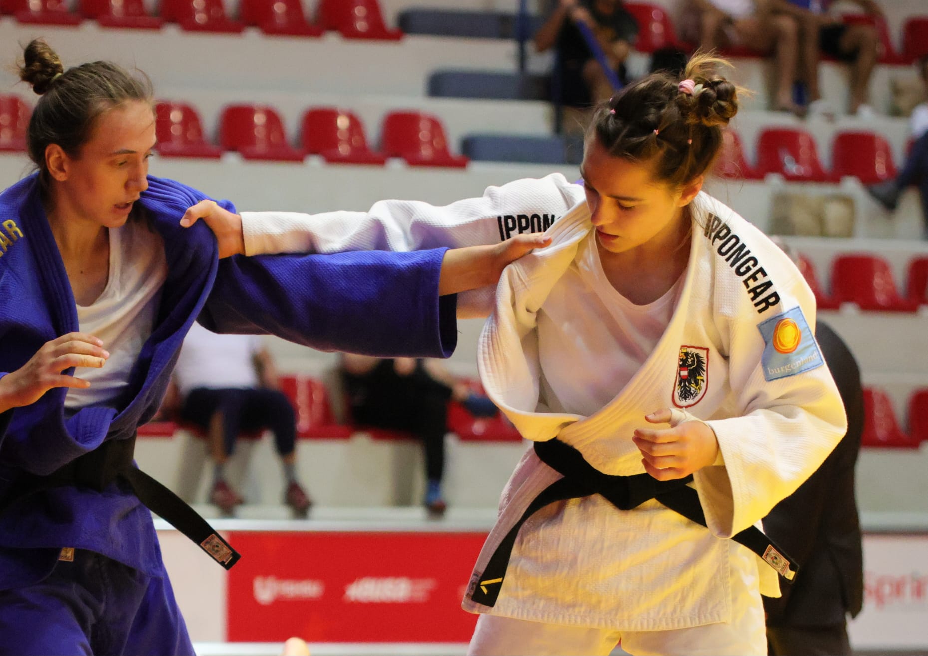 Judo Erwachsene