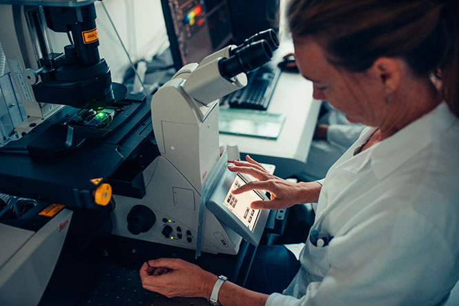 Researcher in the laboratory