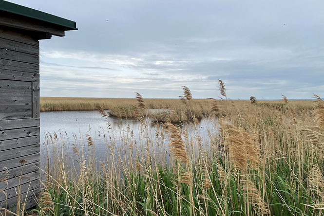 © Anna Kaiser Exkursion Neusiedler See