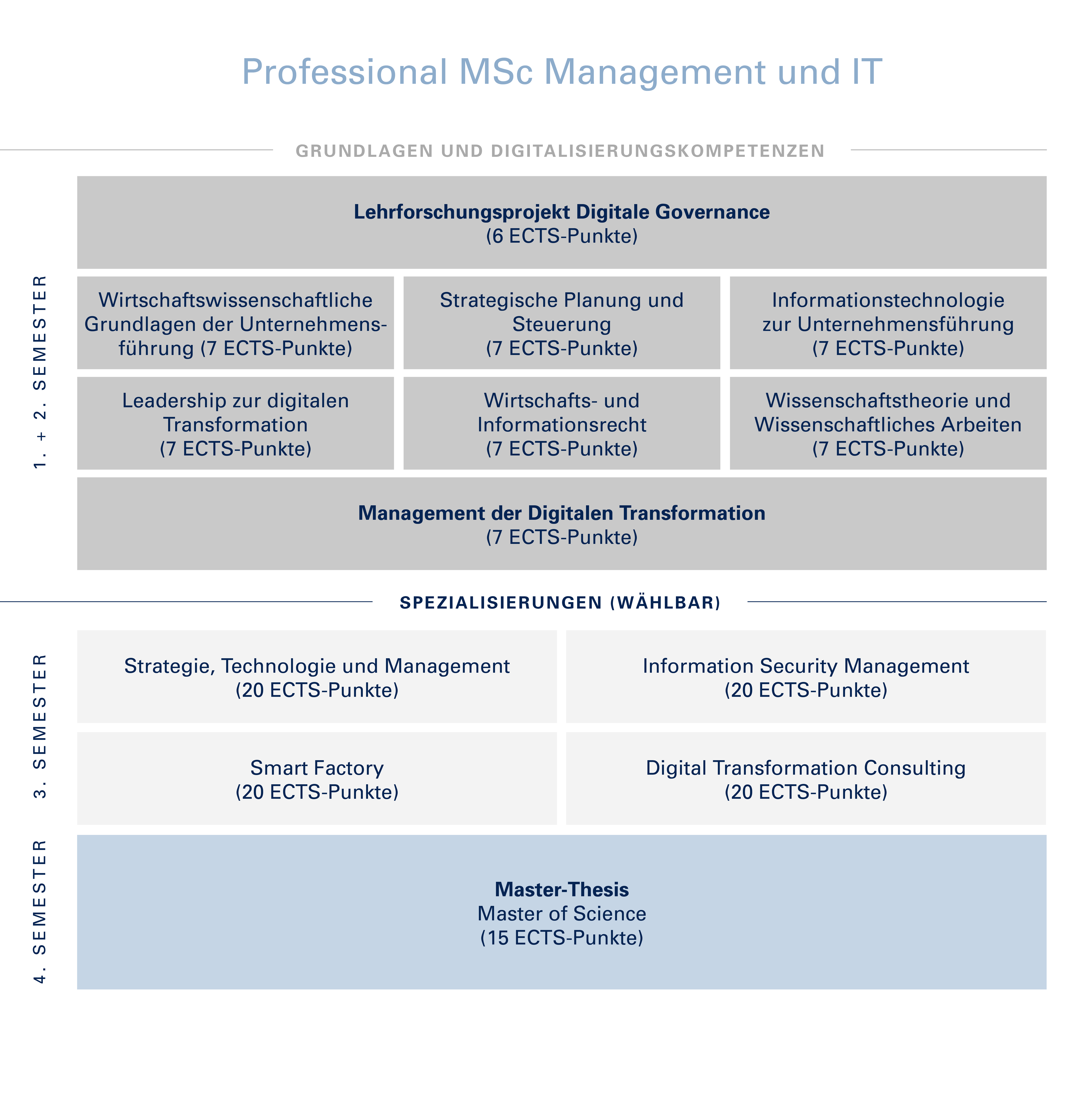 Aufbau Professional MSc Management und IT - dieser wird nachfolgend noch textlich beschrieben.