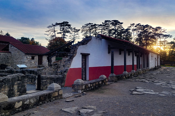 ReConnecting Cruise 2024