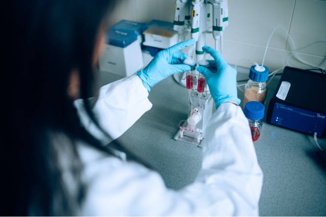 Forschung im Biomedizinischen Labor