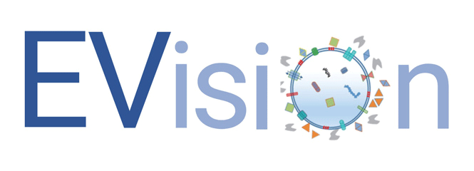 EVision-Logo