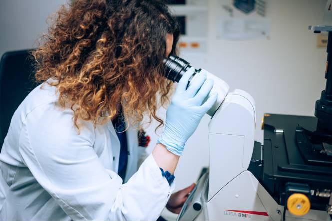 Forschung im Biomedizinischen Labor