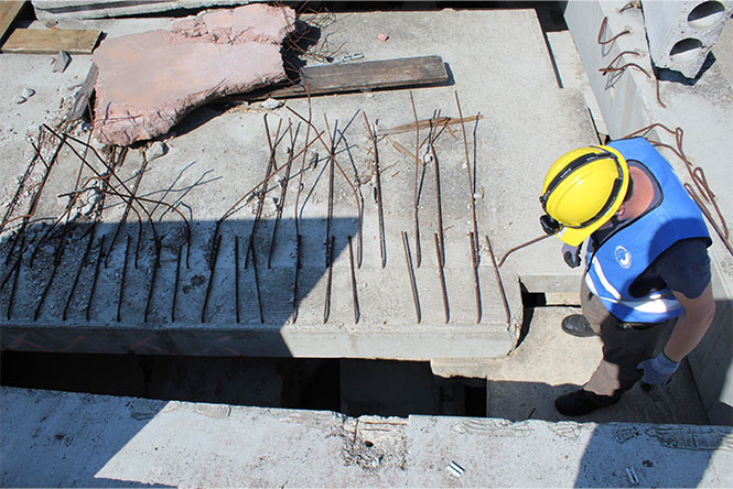 Suche nach Kulturgütern