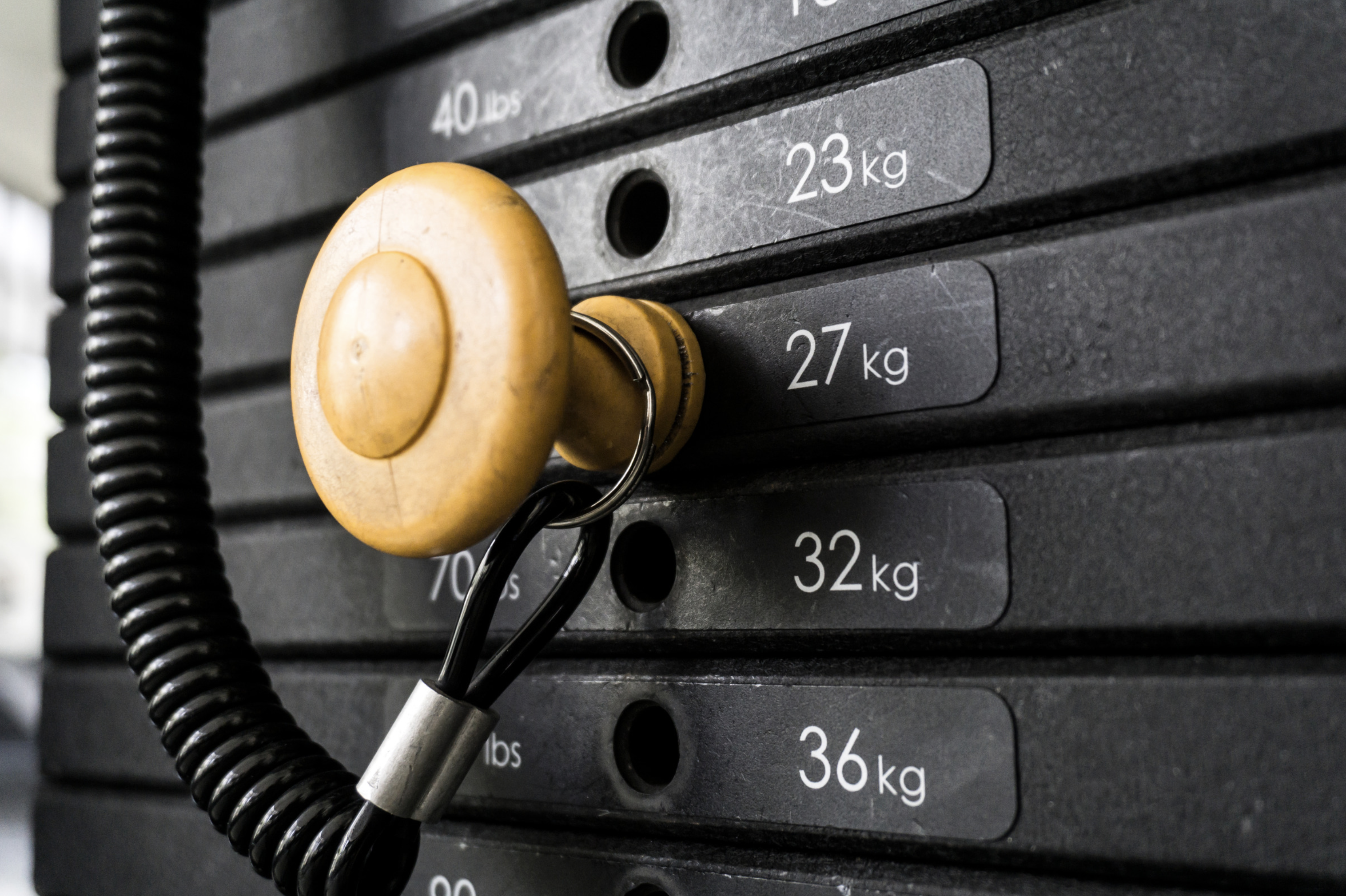 Body Fitness