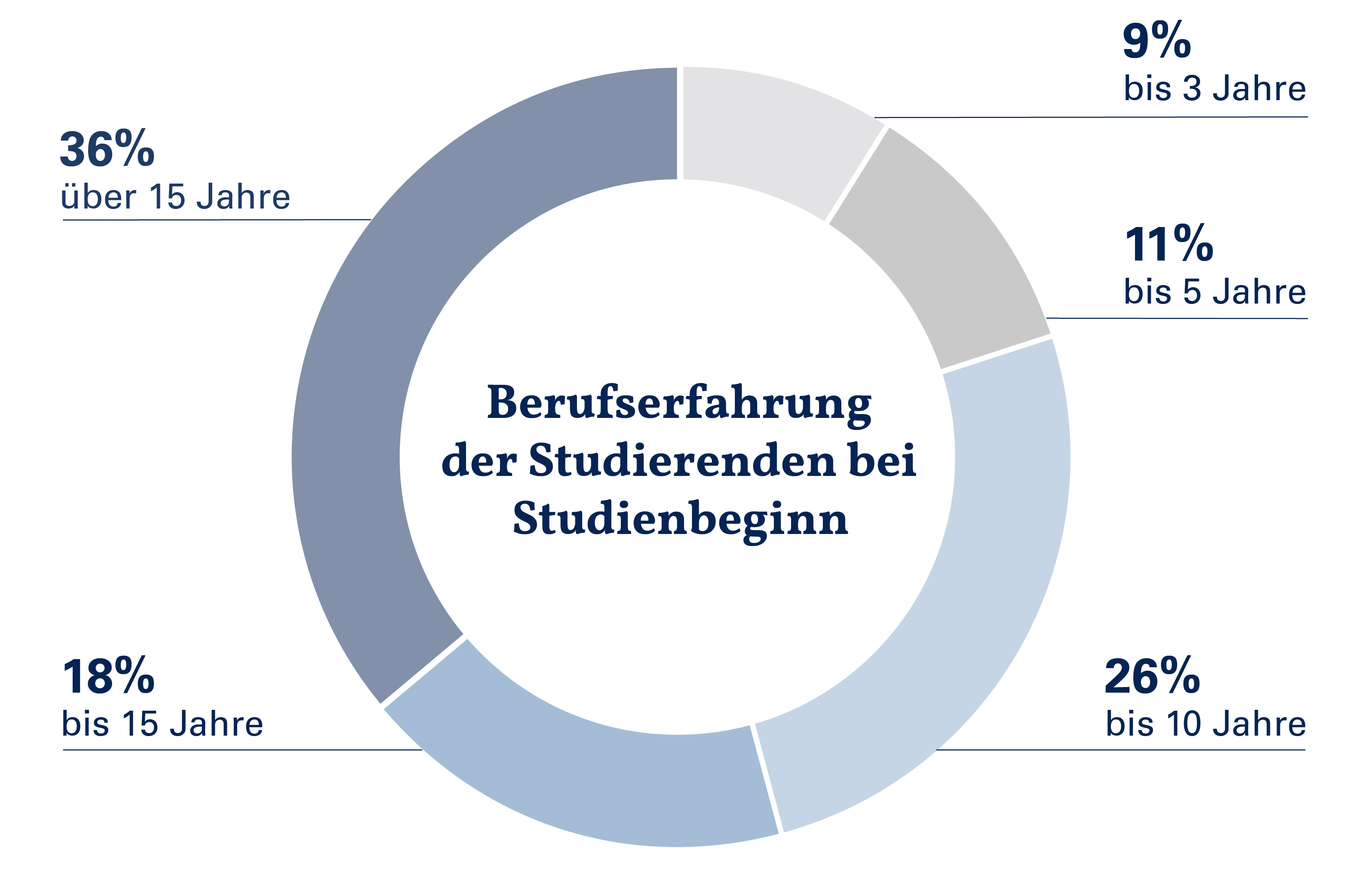 Berufserfahrung Studierende