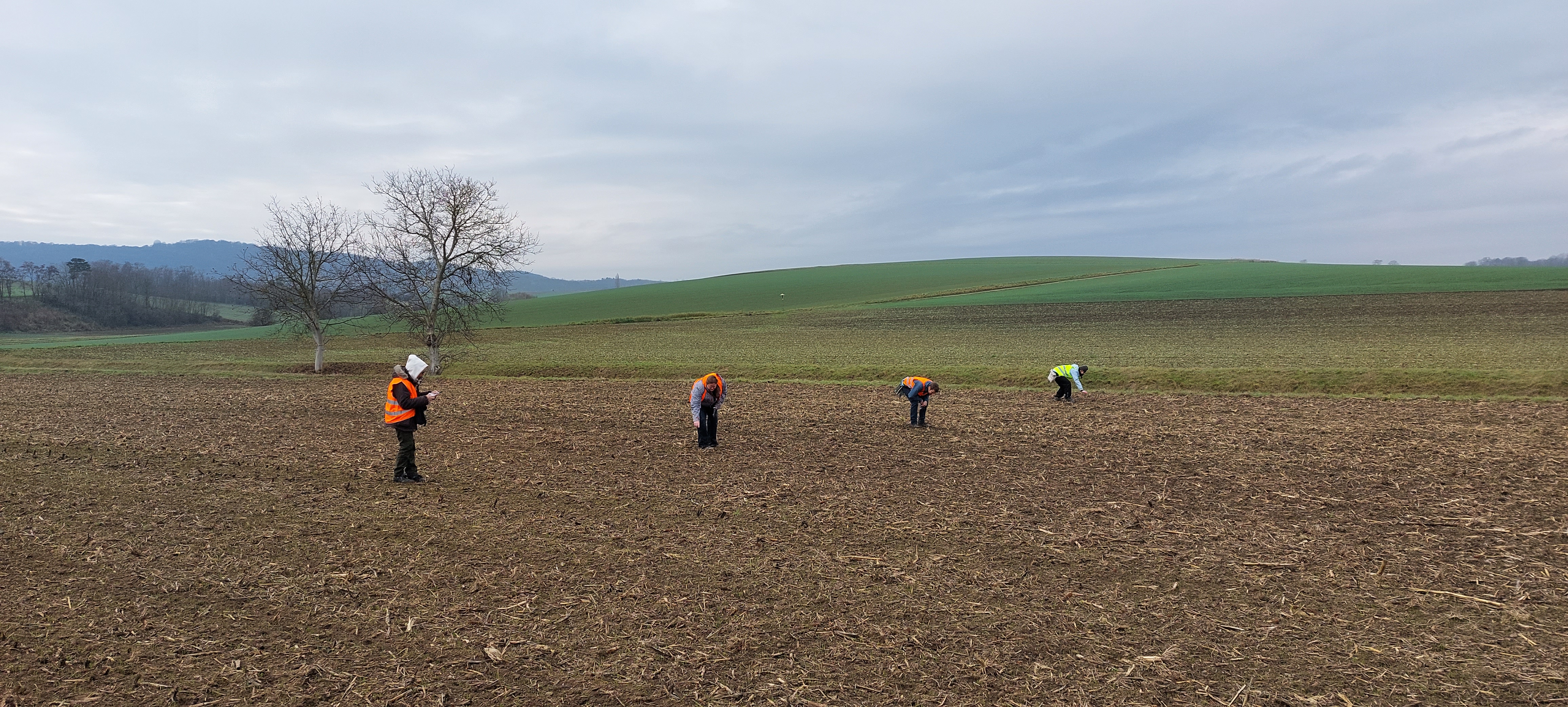 © Universität für Weiterbildung Krems/Jakob Maurer Linewalking in Schletz