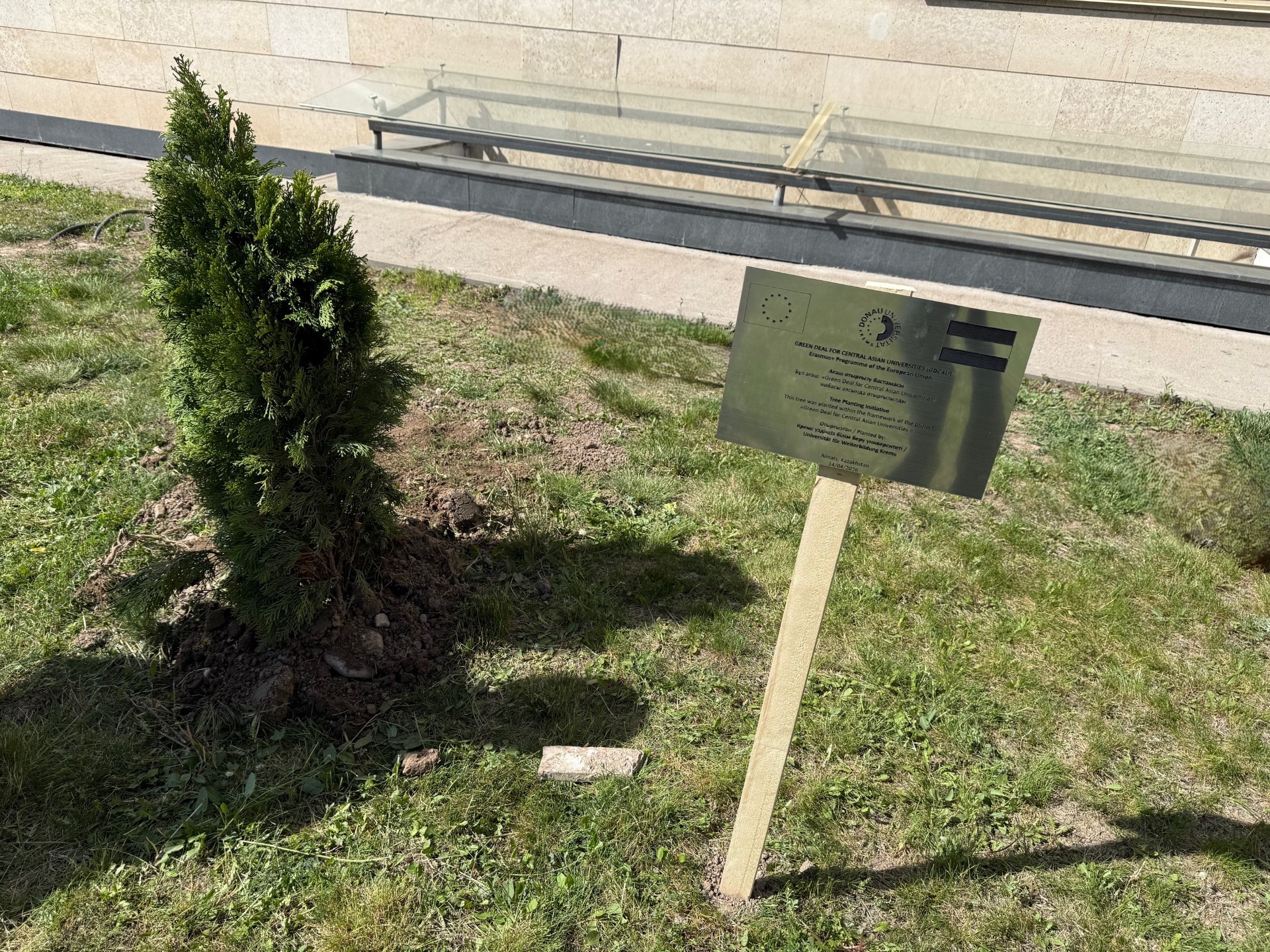 Baum als Zeichen nachhaltiger Zusammenarbeit