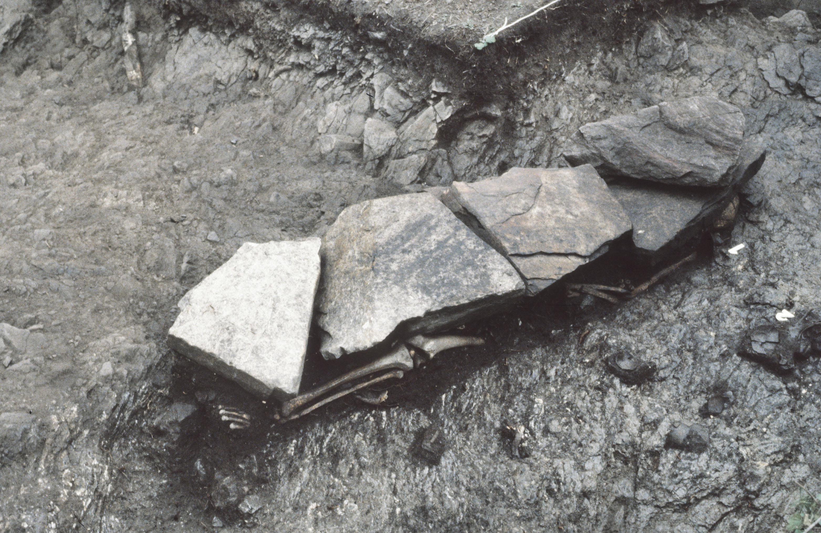 © Thunau, Untere Holzwiese. Ansicht einer Steinabdeckung, darunter die Bestattung eines Erschlagenen, nördlich der Apsisschulter der Kirche (Foto: IUHA, Univ. Wien) Bestattung