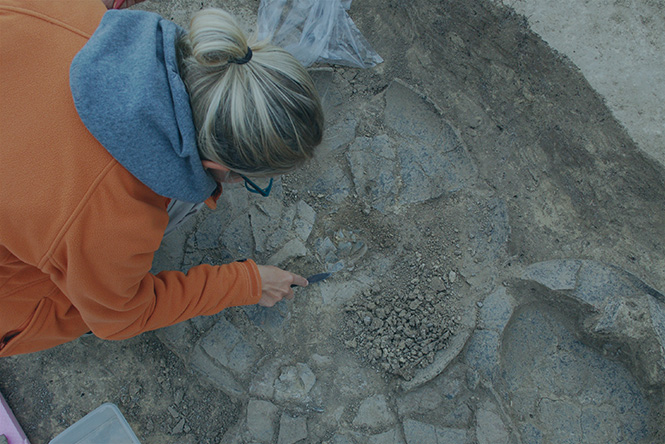 Freilegung von archäologischen Funden 
