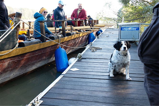 ReConnecting Cruise 2024