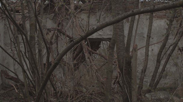 memoryspaces.at, © Rosa Andraschek memoryspaces.at