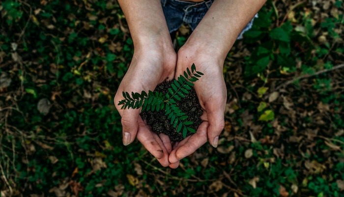 (Foto von Noah Buscher auf Unsplash) (Foto von Noah Buscher auf Unsplash)