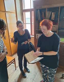 Museumsmanagement Niederösterreich